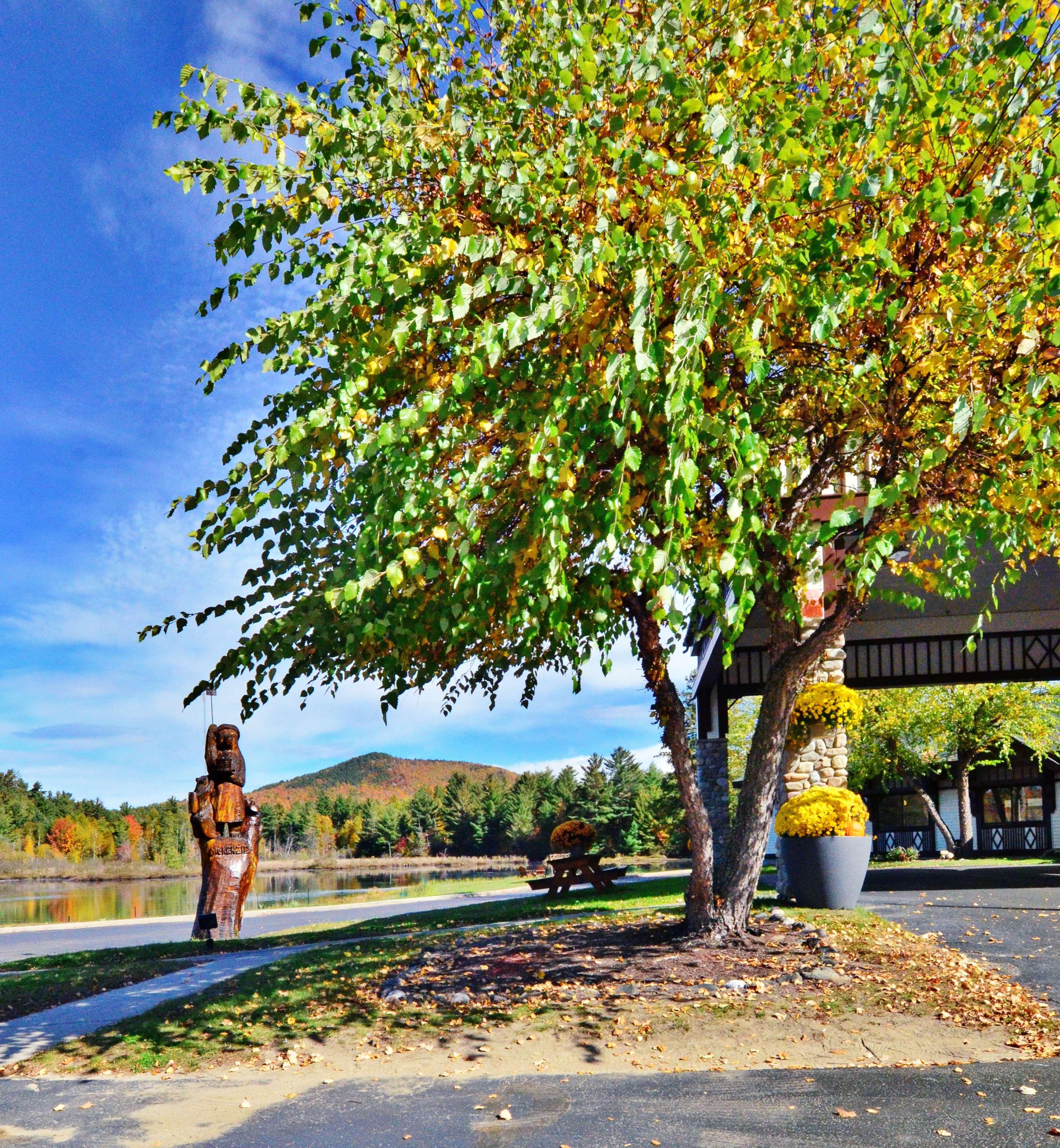 Hotel Best Western Saranac Lake Exteriér fotografie